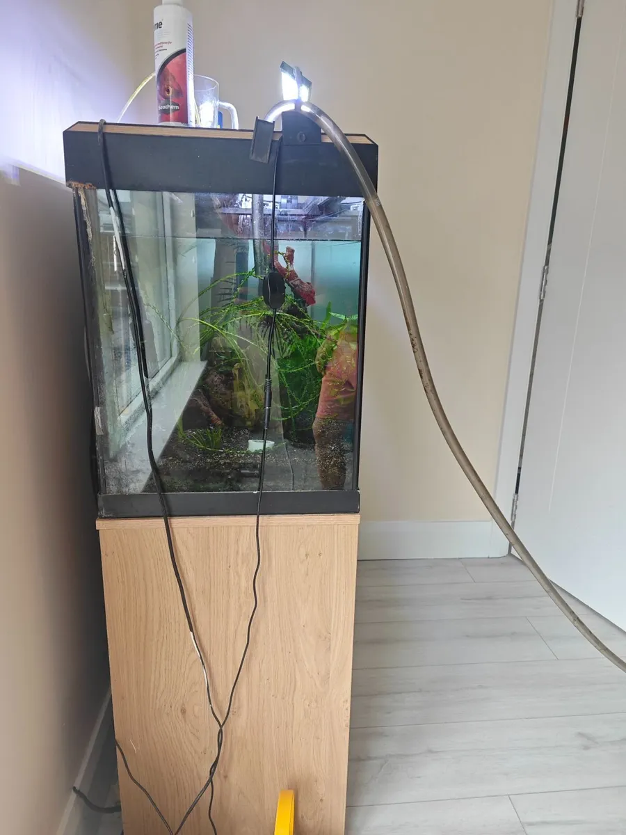 Fish  tank - Image 2