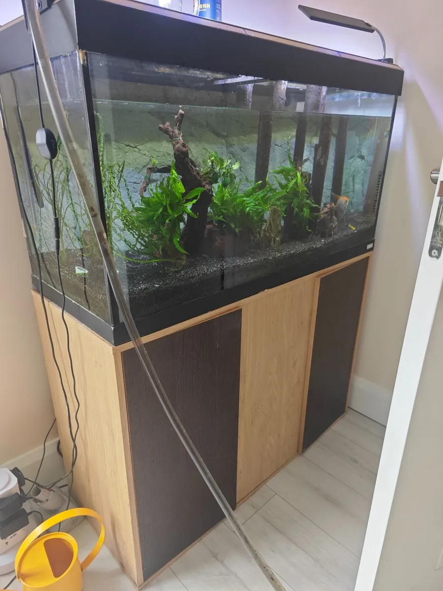 Fish  tank - Image 1
