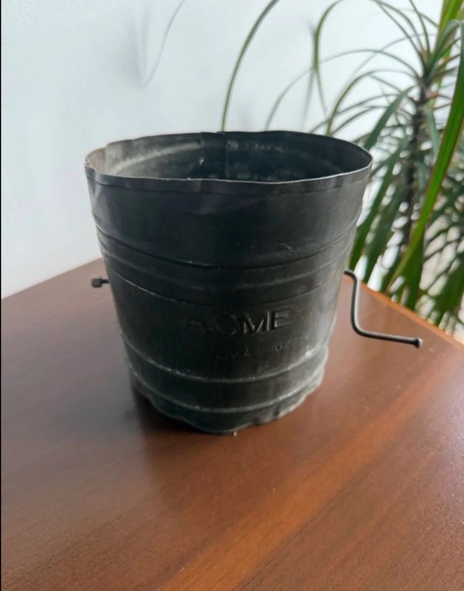 Antique Acme Flour Sifter - Image 4