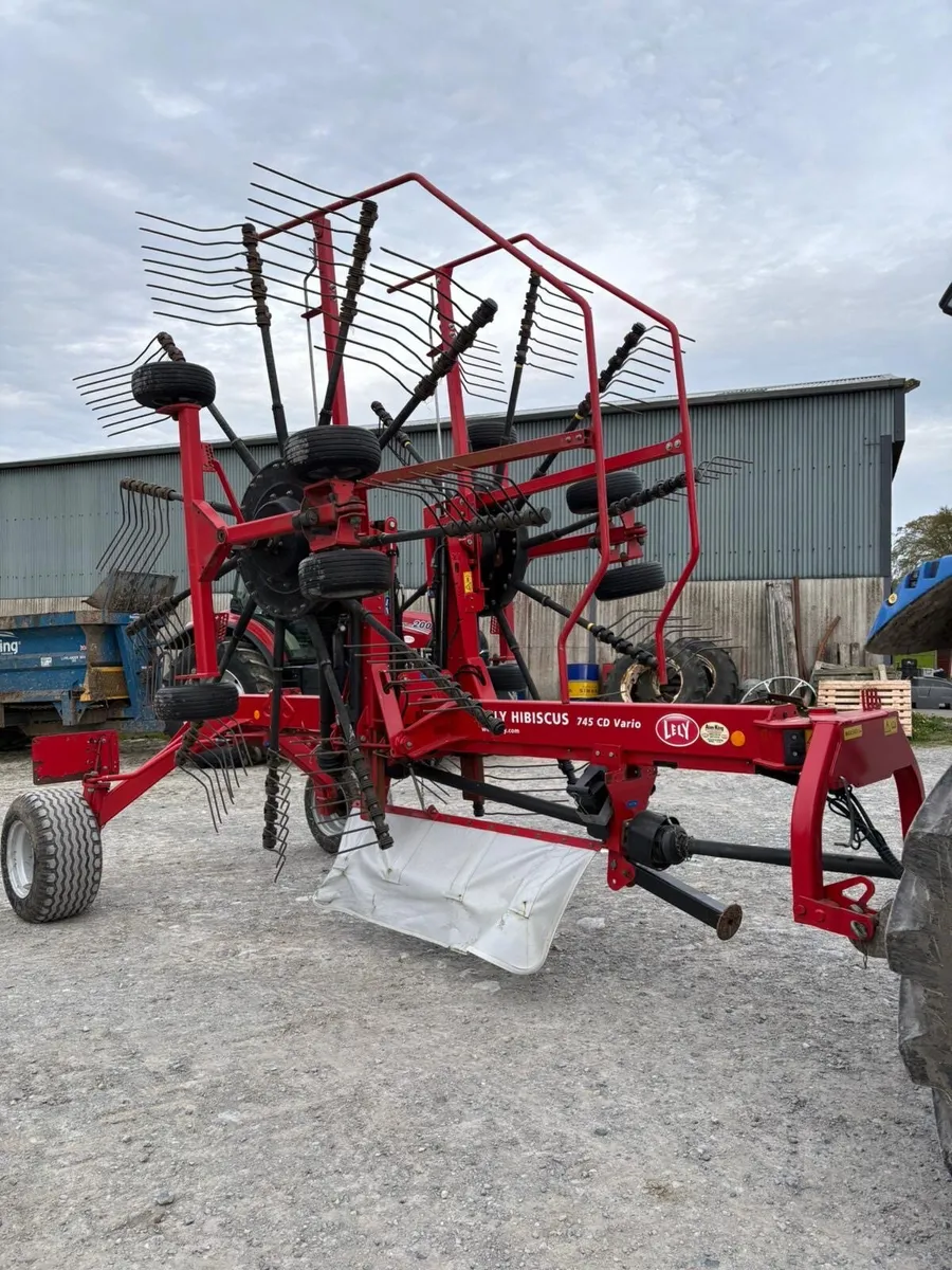 Lely Hibiscus - Image 1