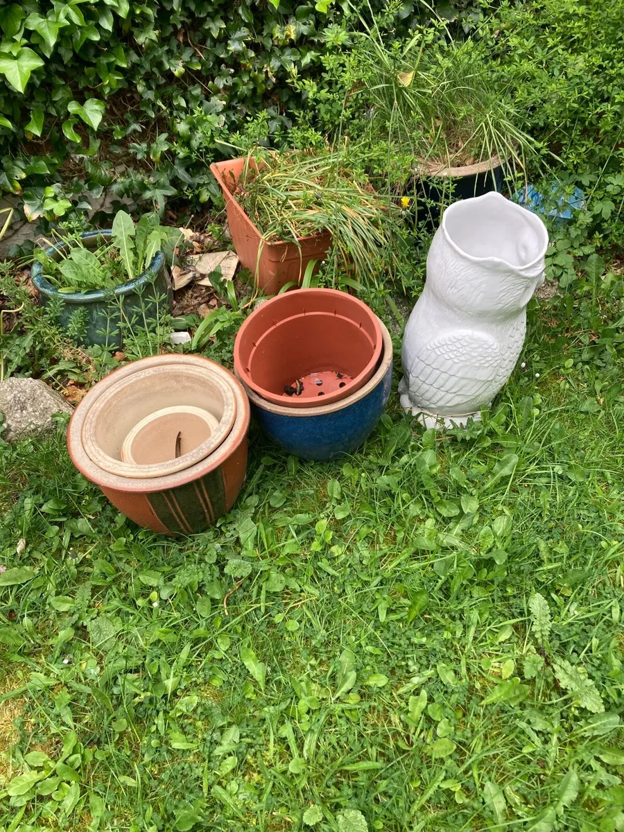 Ceramic plant pots - Image 1
