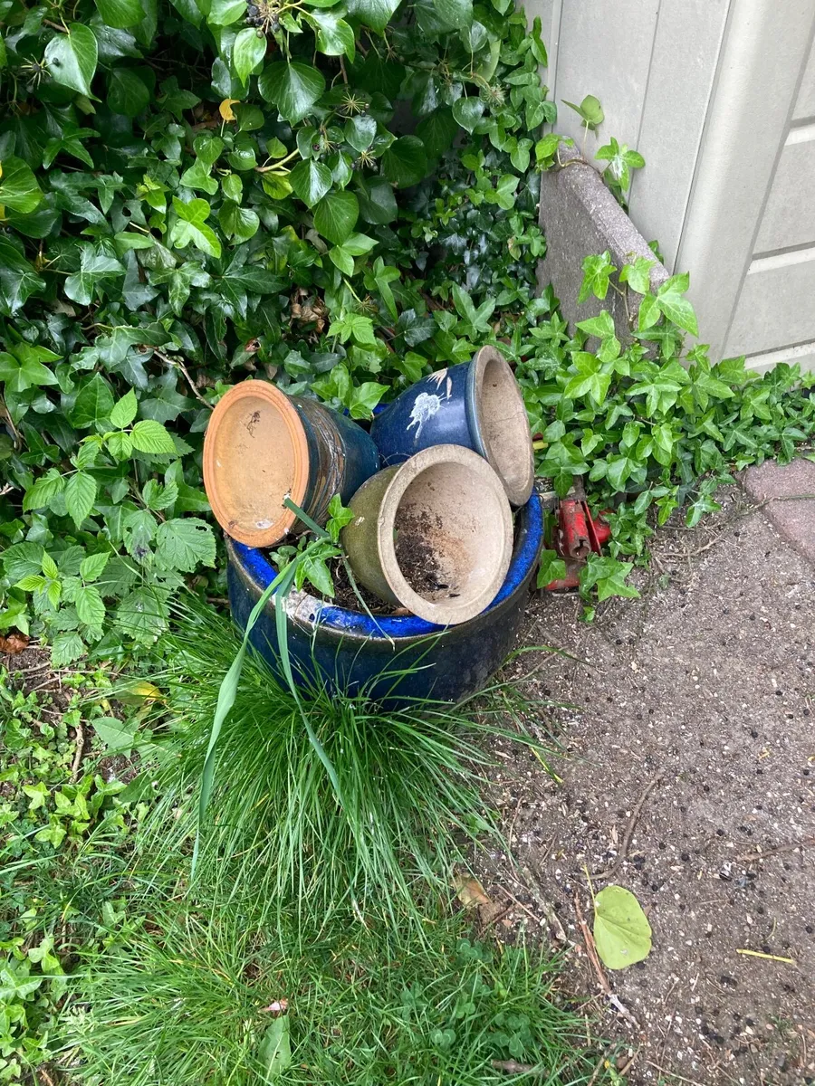 Ceramic plant pots - Image 2