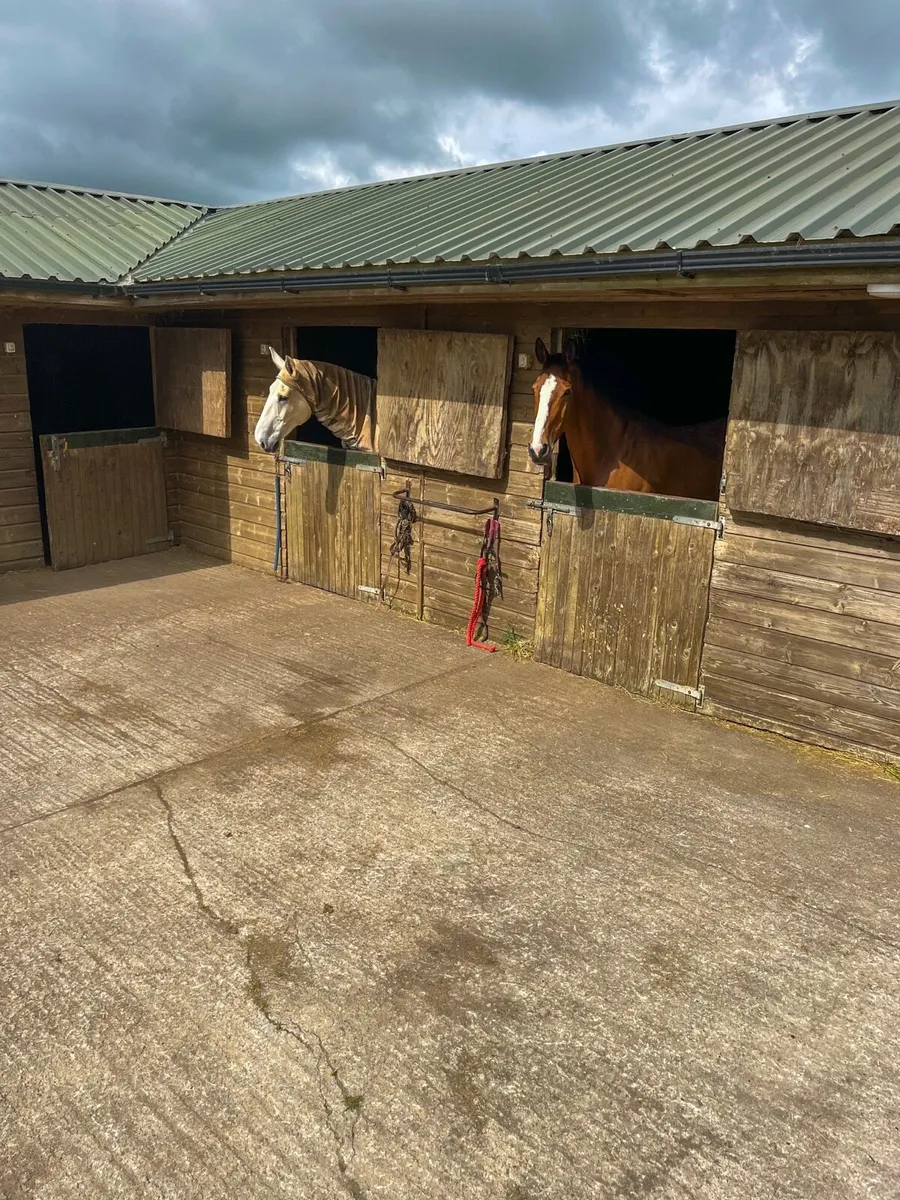 Holiday Livery Available - Limited Spaces - Image 2