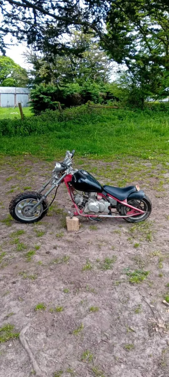 Minibike - Image 1