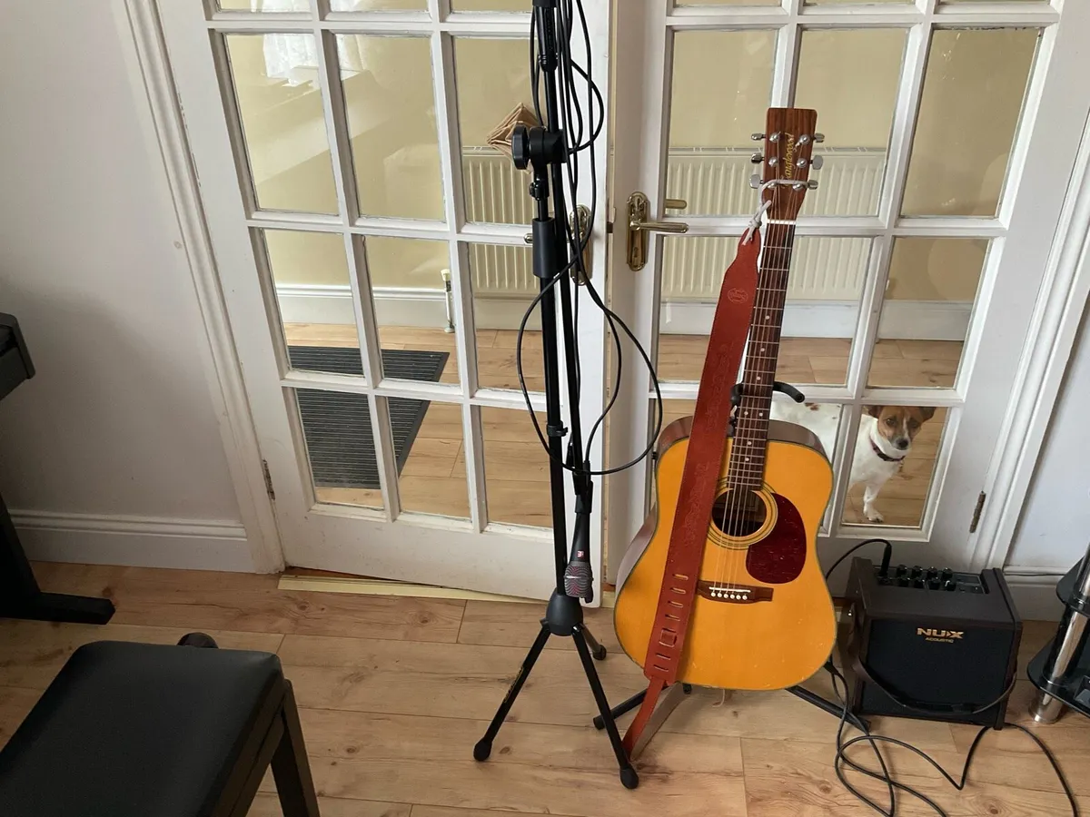 Tanglewood acoustic guitar/ Amp/ Stand/Mike etc - Image 1
