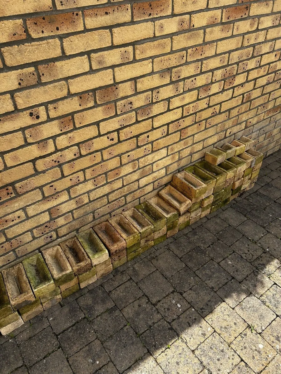 Bricks - Image 2