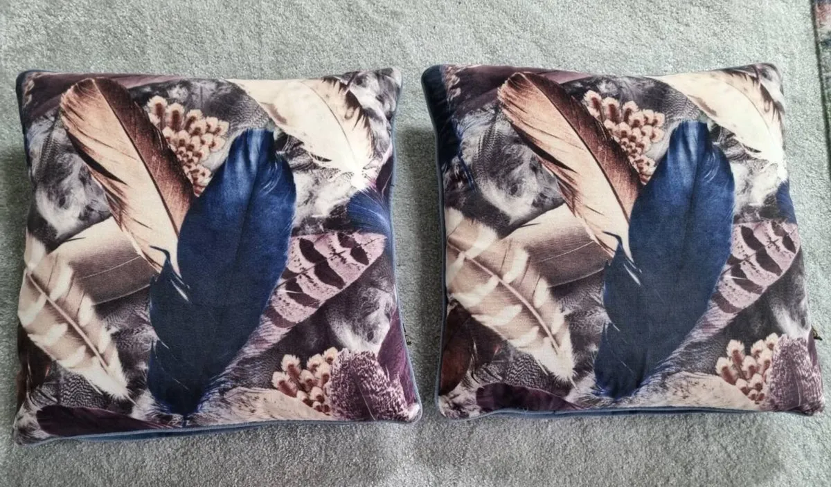 Scatterbox Cushions - Image 1