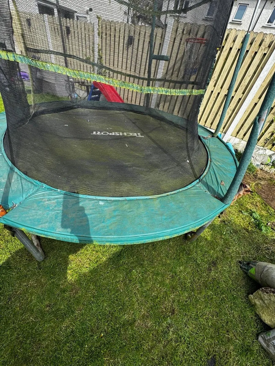 Trampoline - Image 3