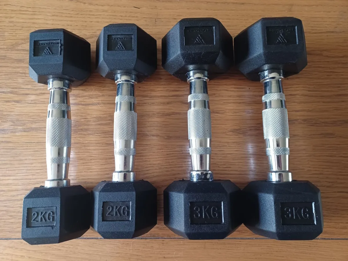 Hex Dumbbells 2kg & 3kg - Image 1