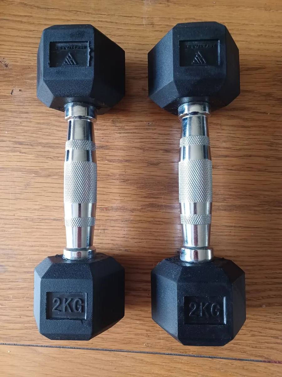 Hex Dumbbells 2kg & 3kg - Image 2