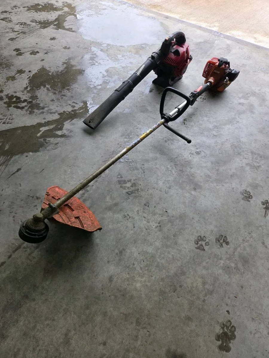Strimmer and blower - Image 1