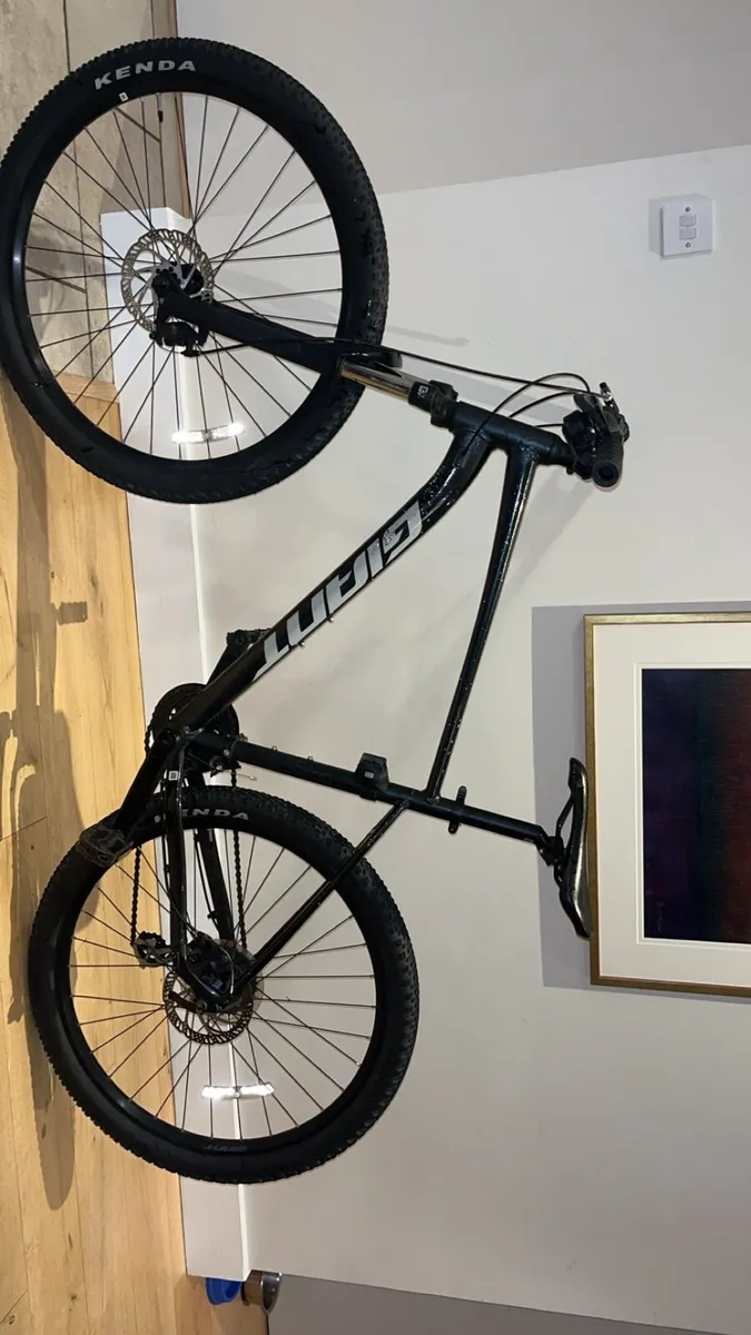 Giant Mountain bike - Image 1