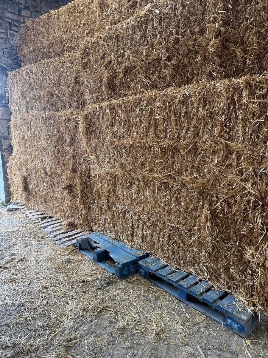 8x4x3 straw - Image 2