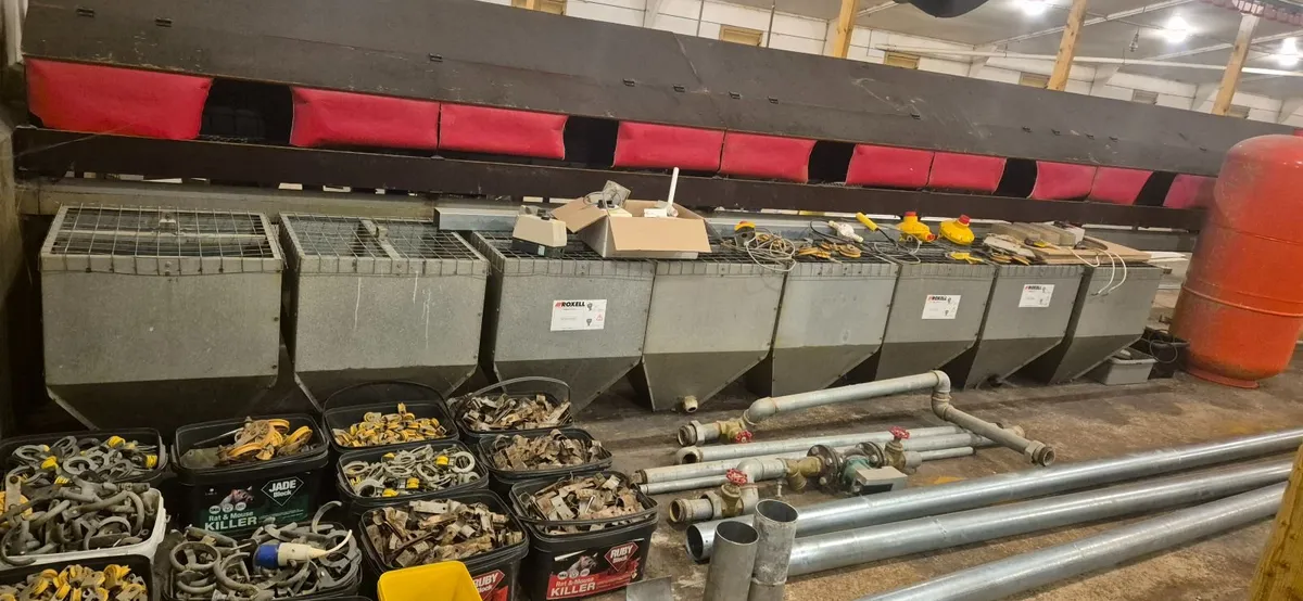 Poultry equipment - Image 2