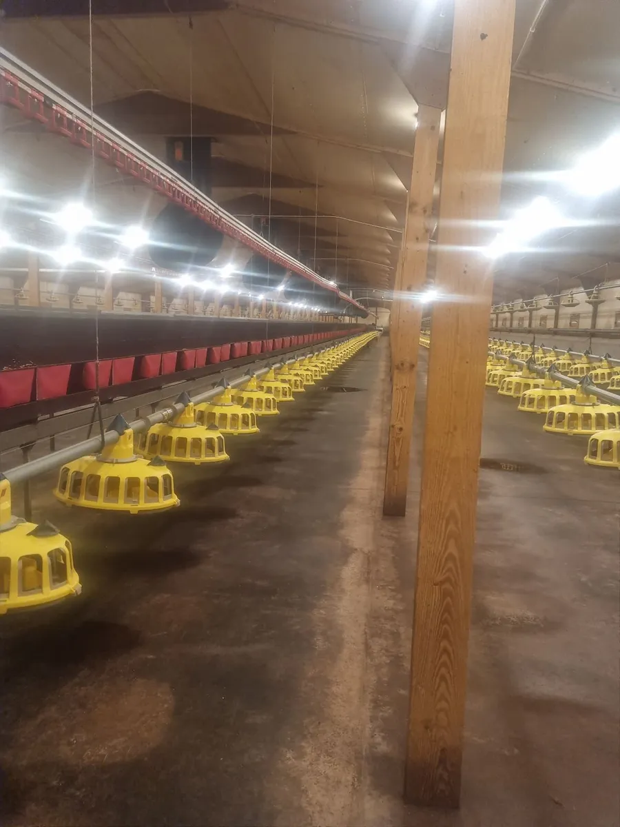 Poultry equipment - Image 1