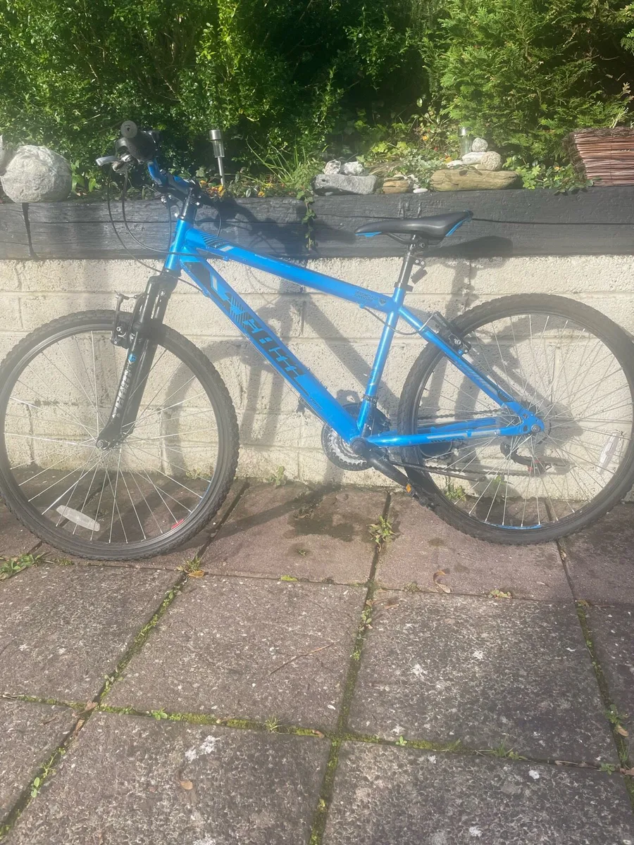 Teenagers Mountain Bike - Image 1