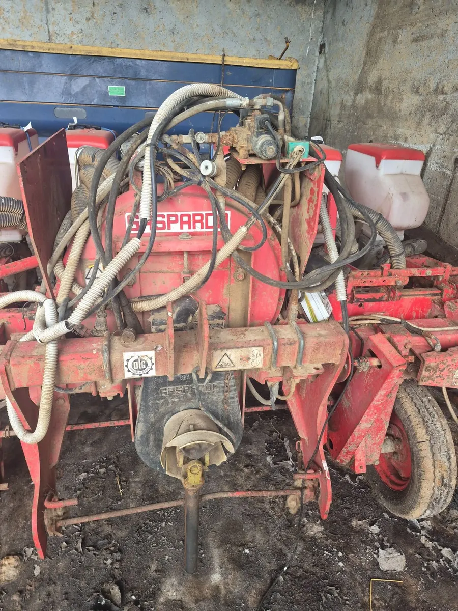 Gasparado Maize seeder - Image 4