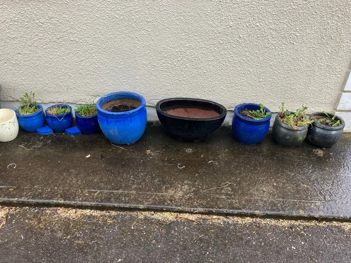 Flower pots