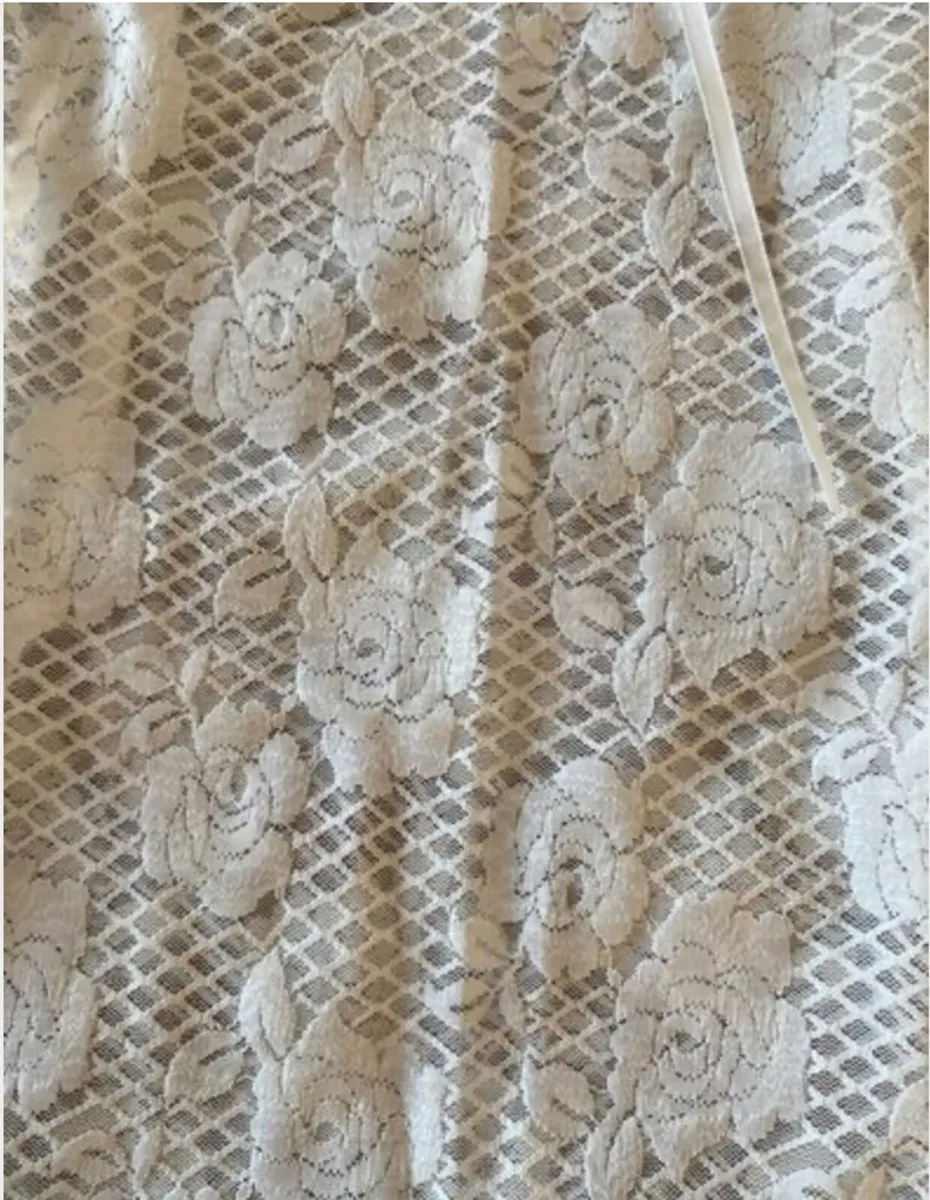 BNWT Edikted Ayala Lace Sheer Minidress - Image 3