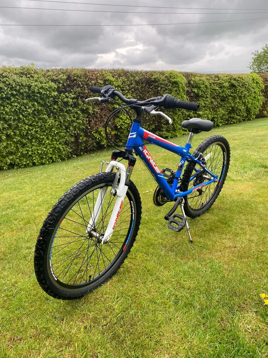 Bike - Image 2