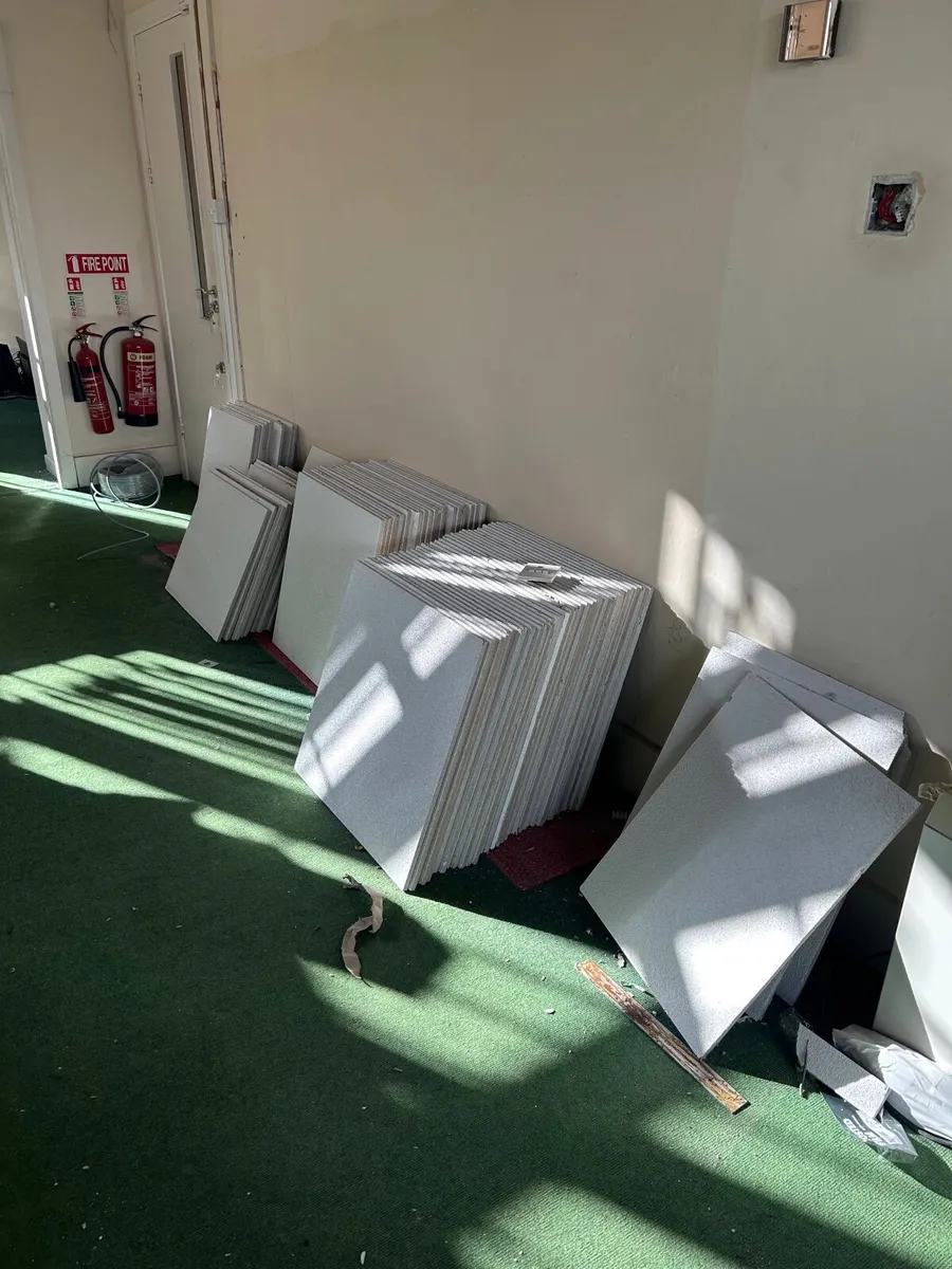 Acoustic Ceiling Tiles: White - Image 1