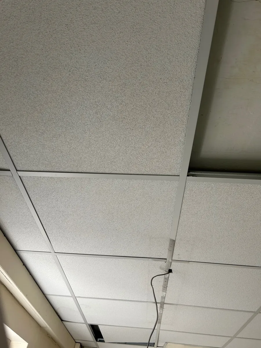 Acoustic Ceiling Tiles: White - Image 2