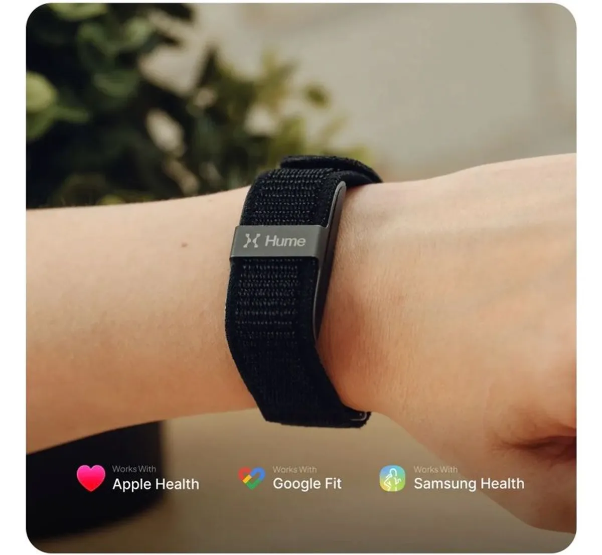 Hume Health Band BNIB - Image 1
