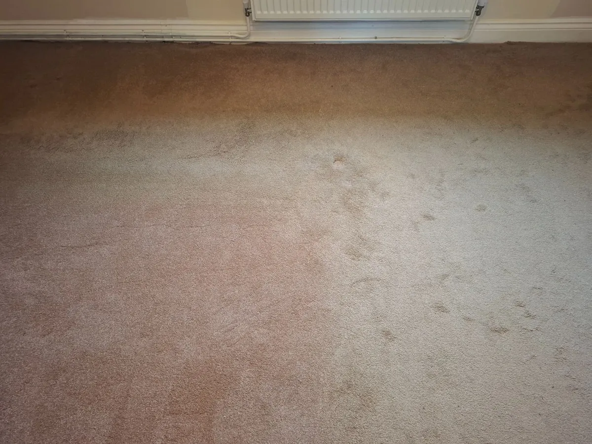 Carpet with underlay. - Image 4