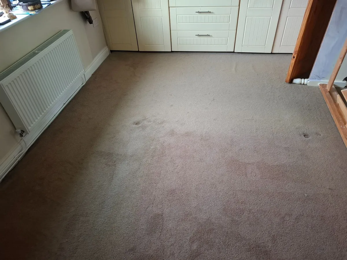 Carpet with underlay. - Image 1