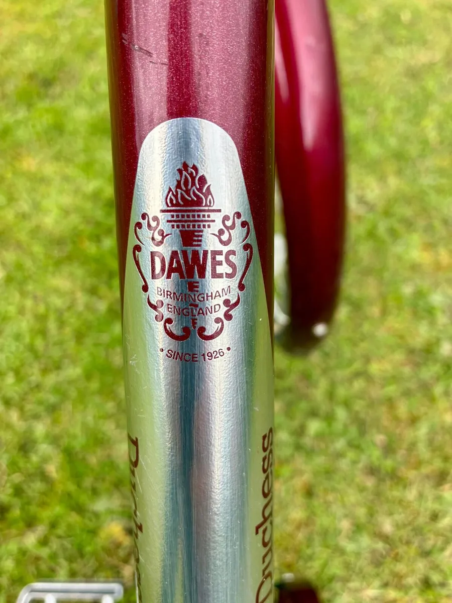 Ladies 'DAWES, DUCHESS DELUXE' - Image 4