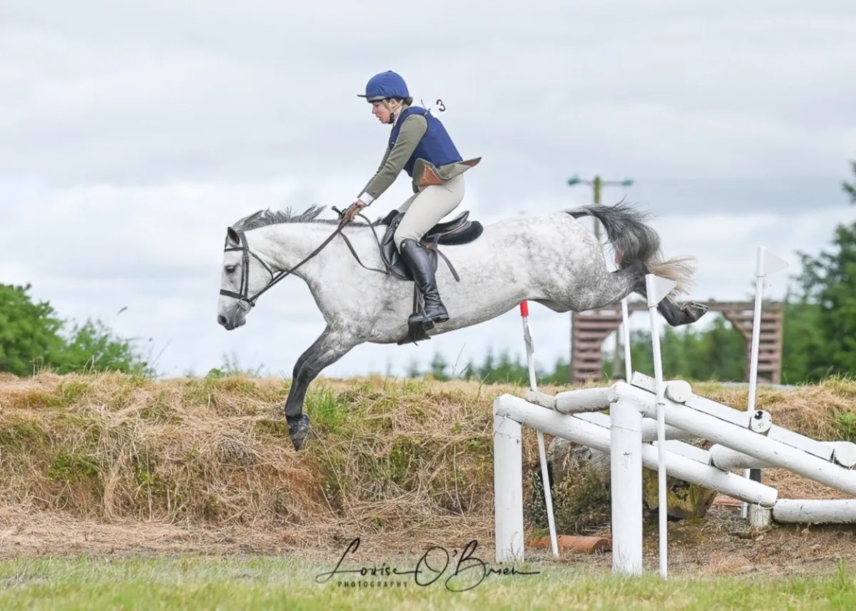 Connemara performance pony - Image 4