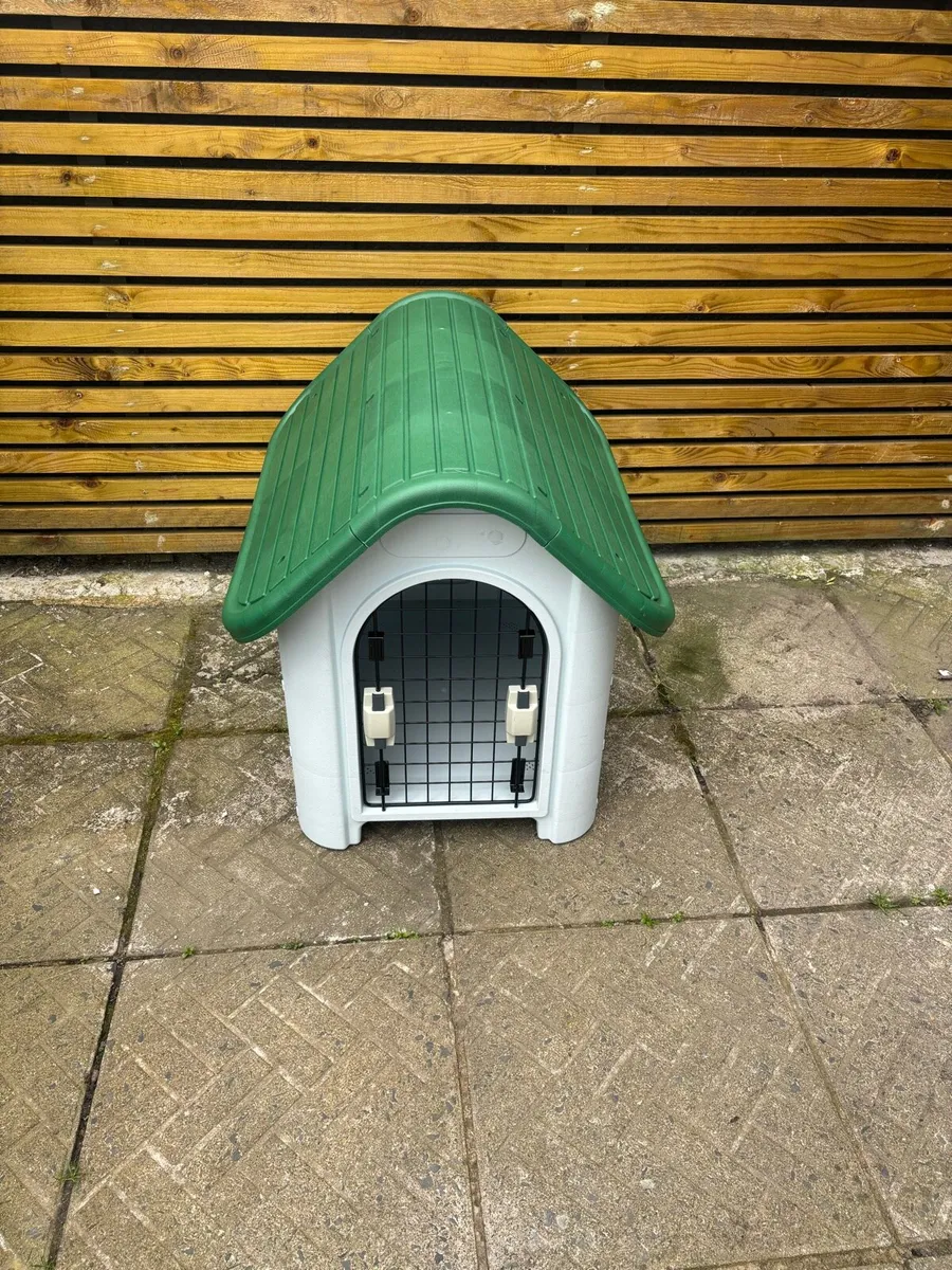 Dog box