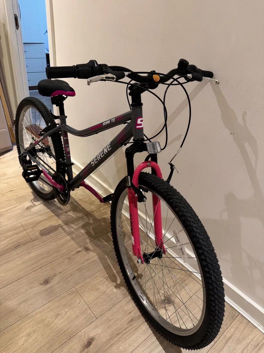 Bike - Image 2