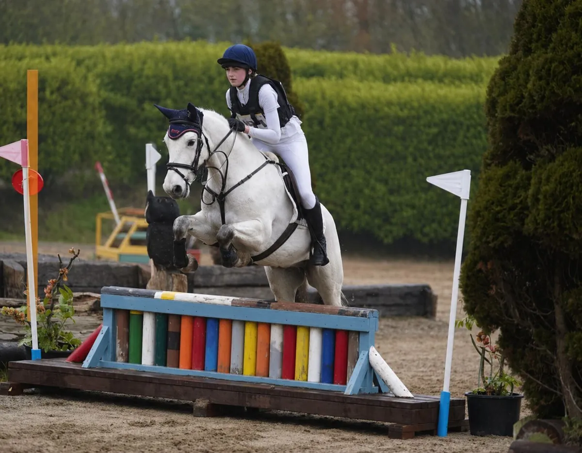 Pony - Image 4
