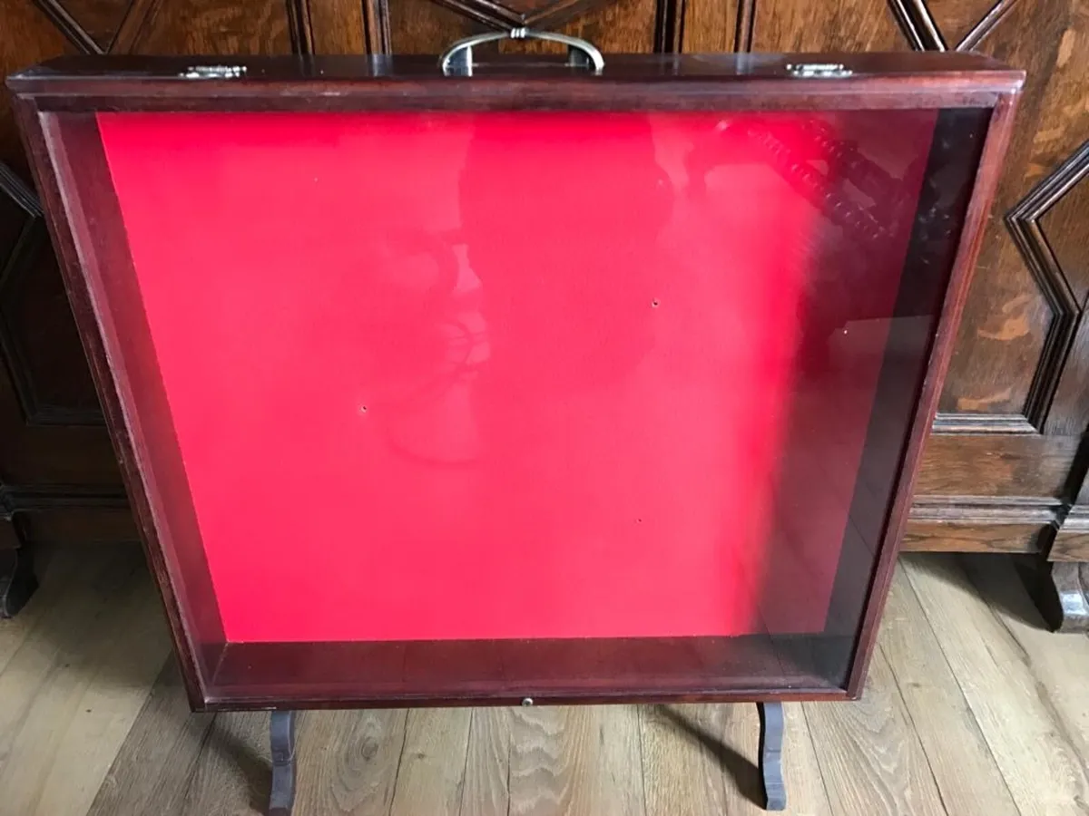 Taxidermy case