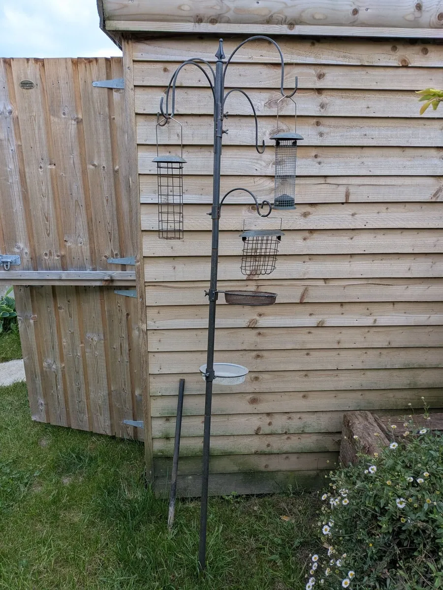Bird feeder