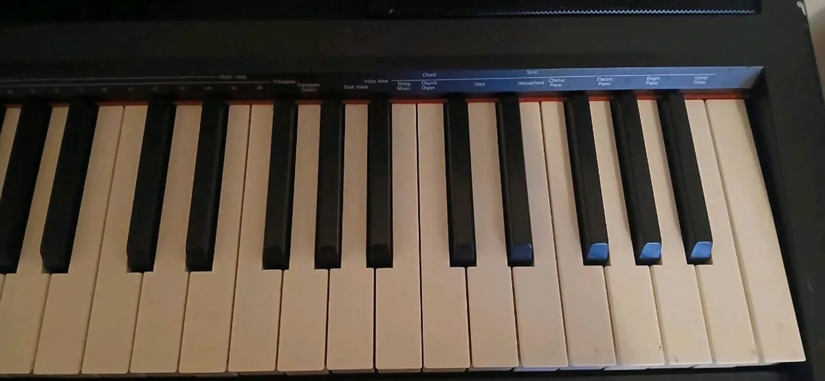 Digital Piano - Image 4