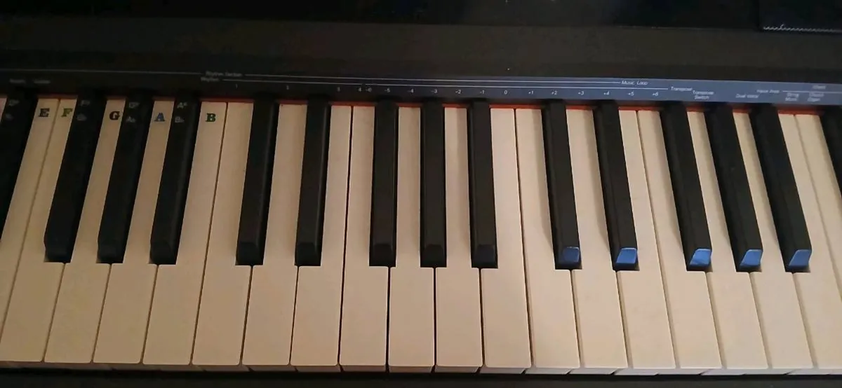Digital Piano - Image 3