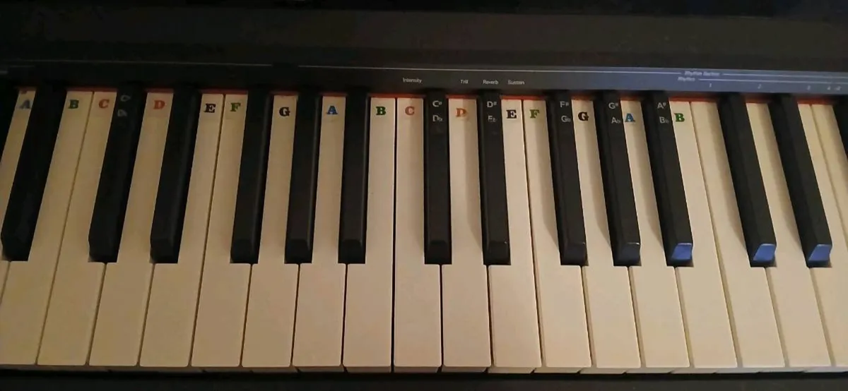 Digital Piano - Image 4