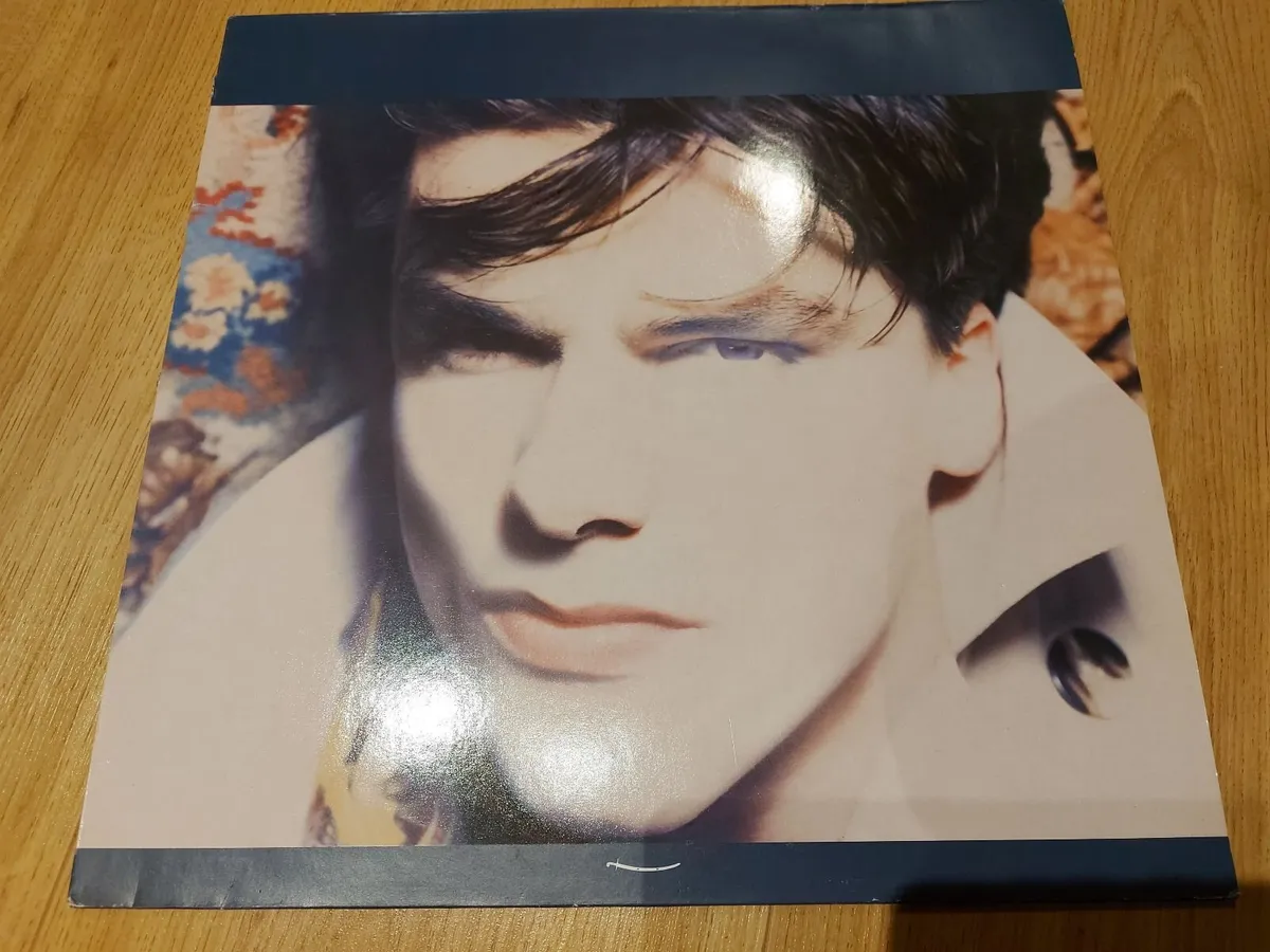 New Batch of Vinyl Record LPs for sale (9/30) - Image 4