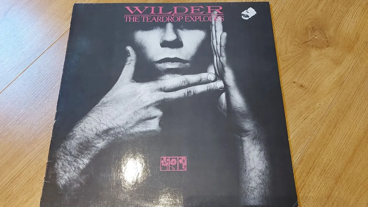 New Batch of Vinyl Record LPs for sale (10/30) - Image 3