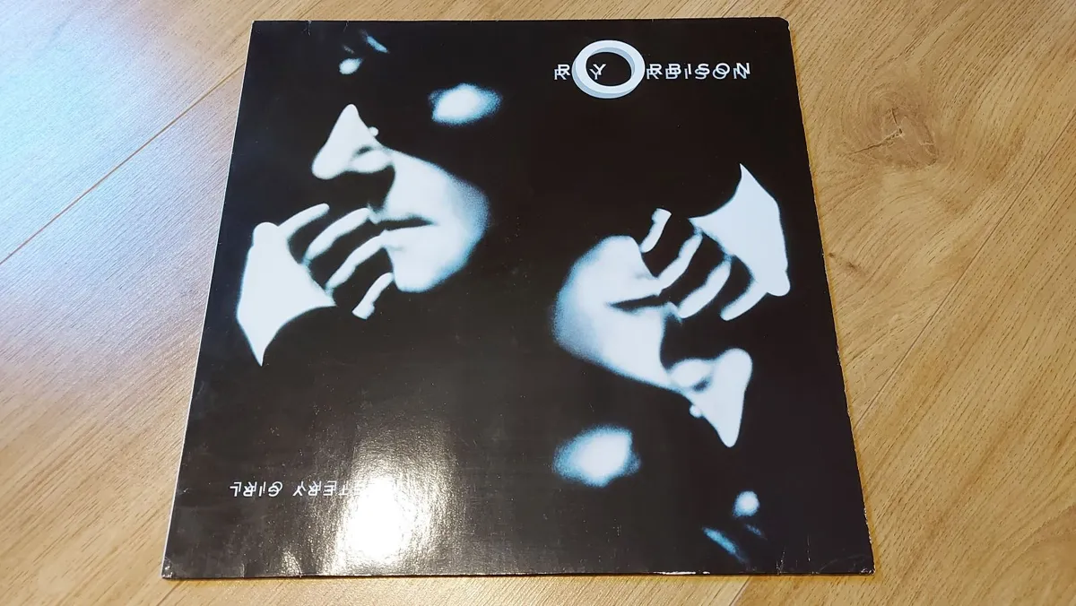 New Batch of Vinyl Record LPs for sale (10/30) - Image 1