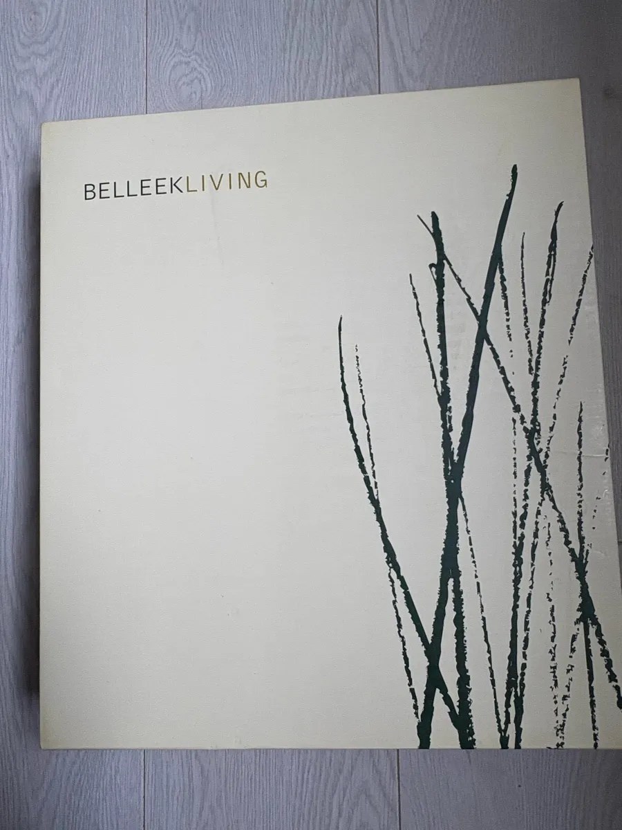 Belleekliving photo frame - Image 4