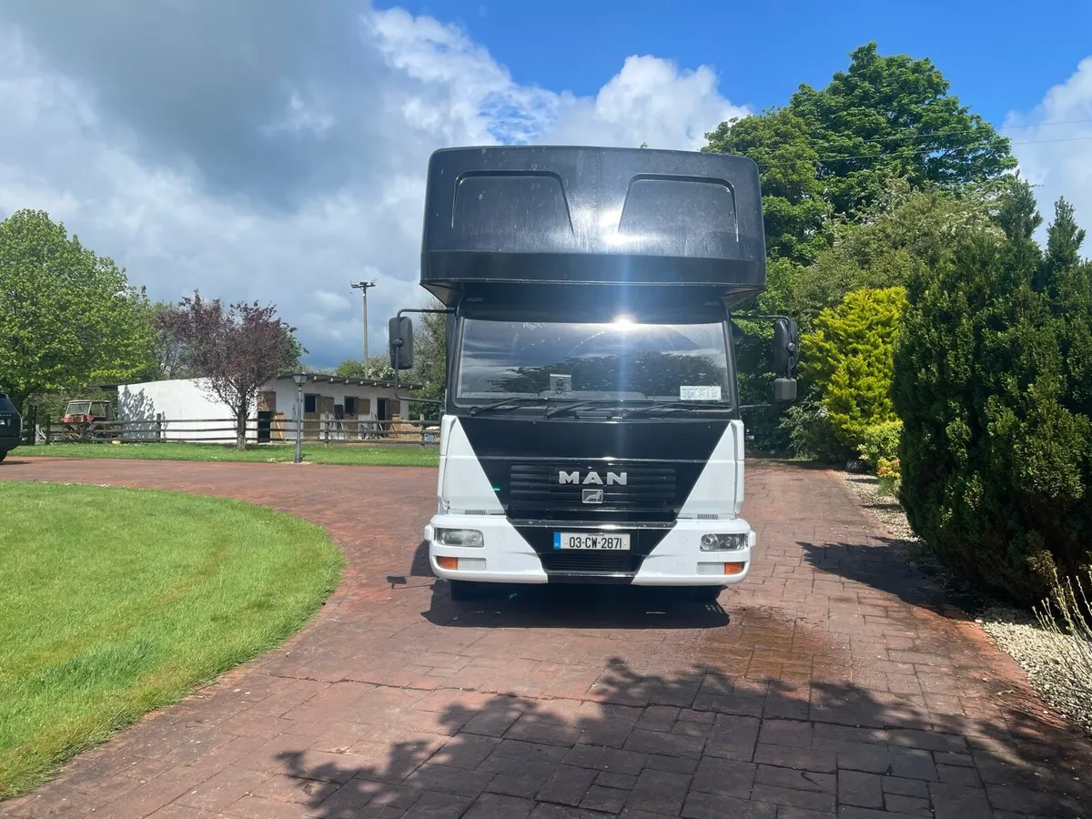 MAN Coach Built 7.5 Ton 3 horse lorry - Image 2