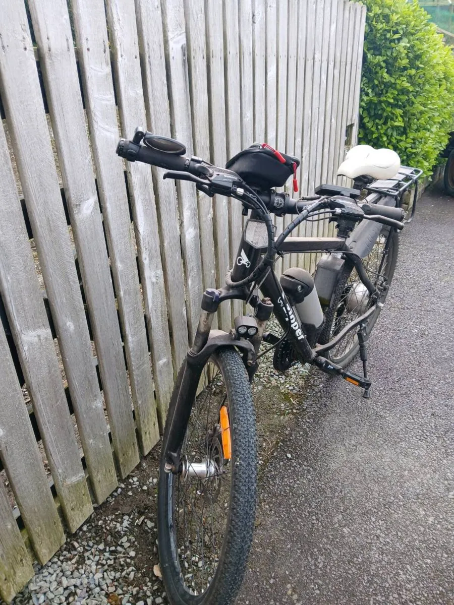 Electric bike - Image 2