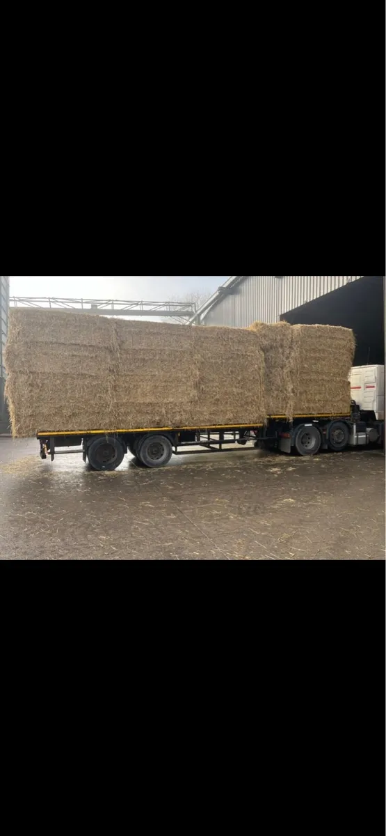 Straw - Image 1