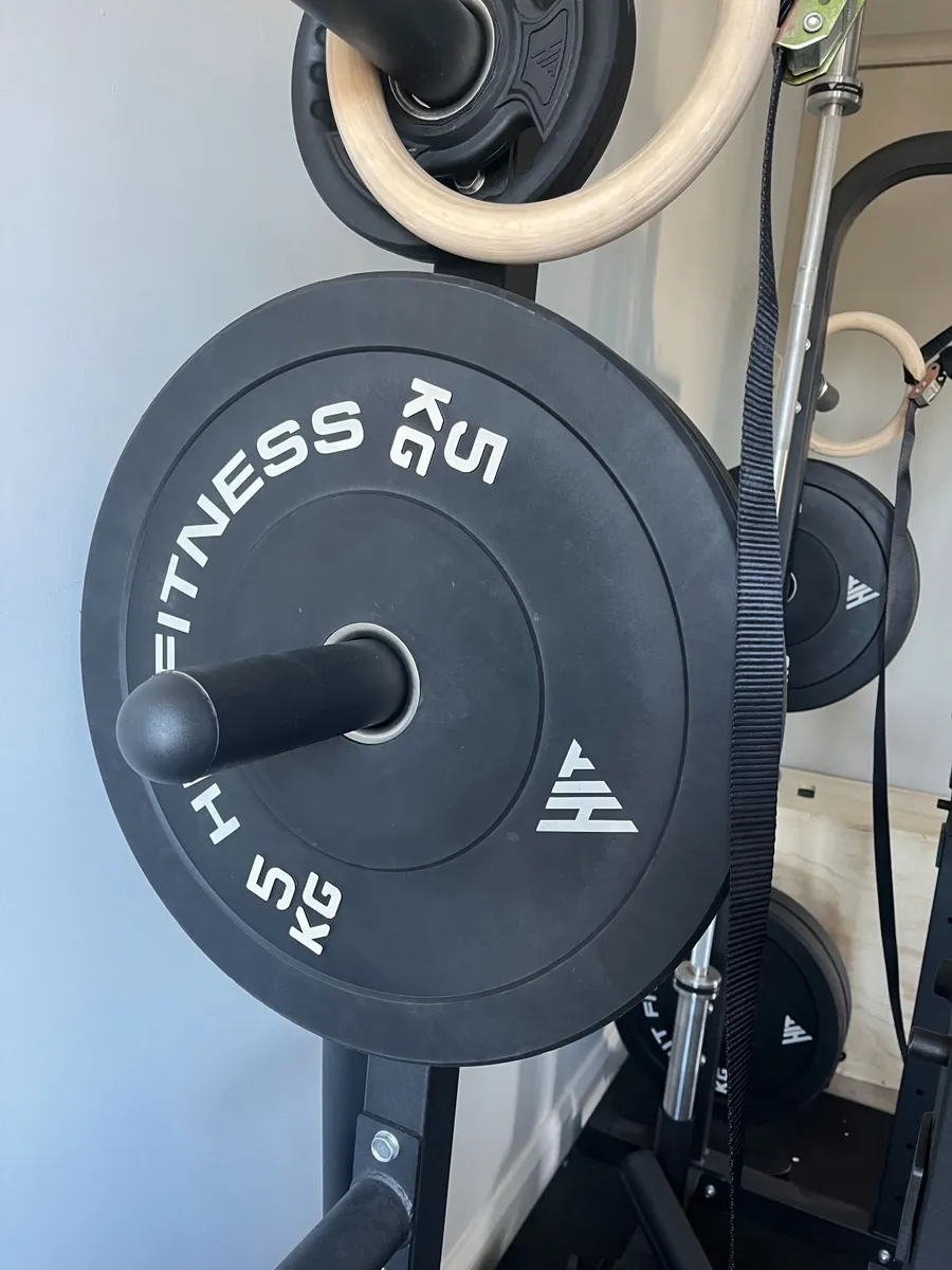 Complete Home Gym Setup + Assault AirBike Classic - Image 3