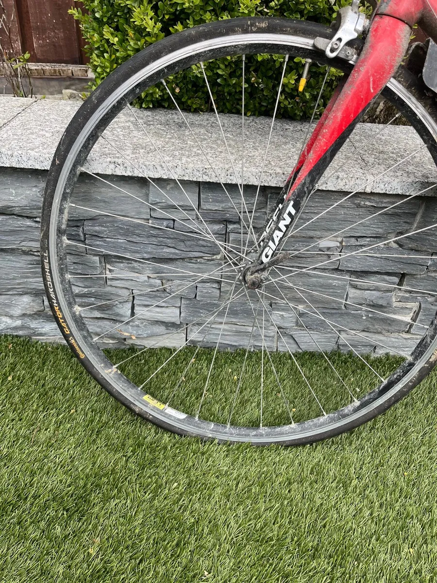 Giant Defy Roadbike - Image 2