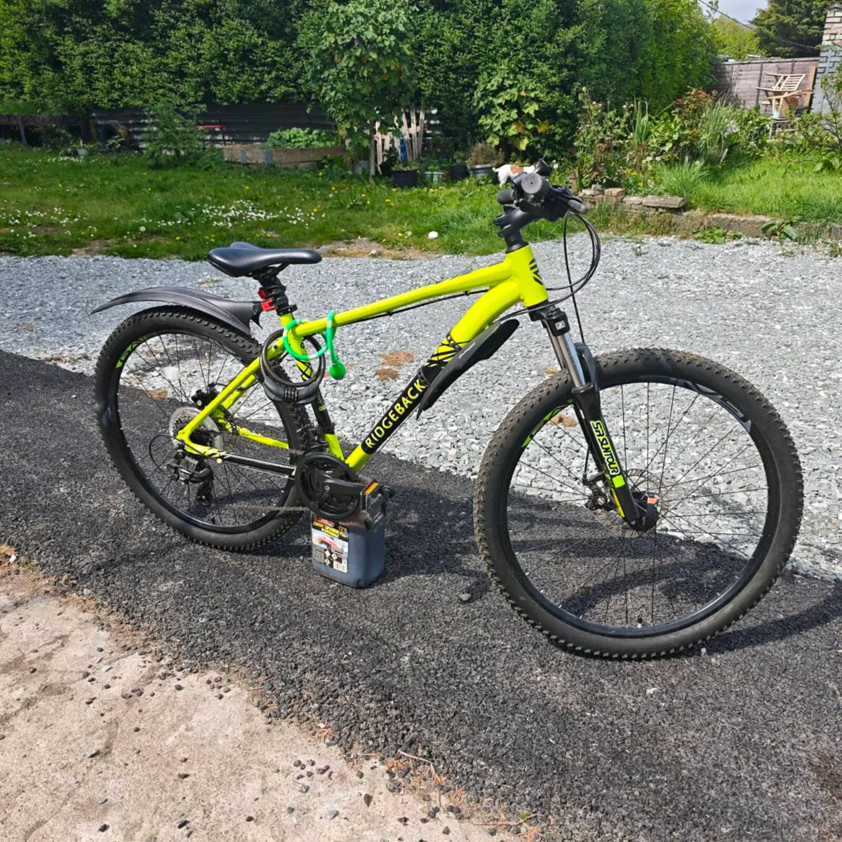 Bike - Image 1