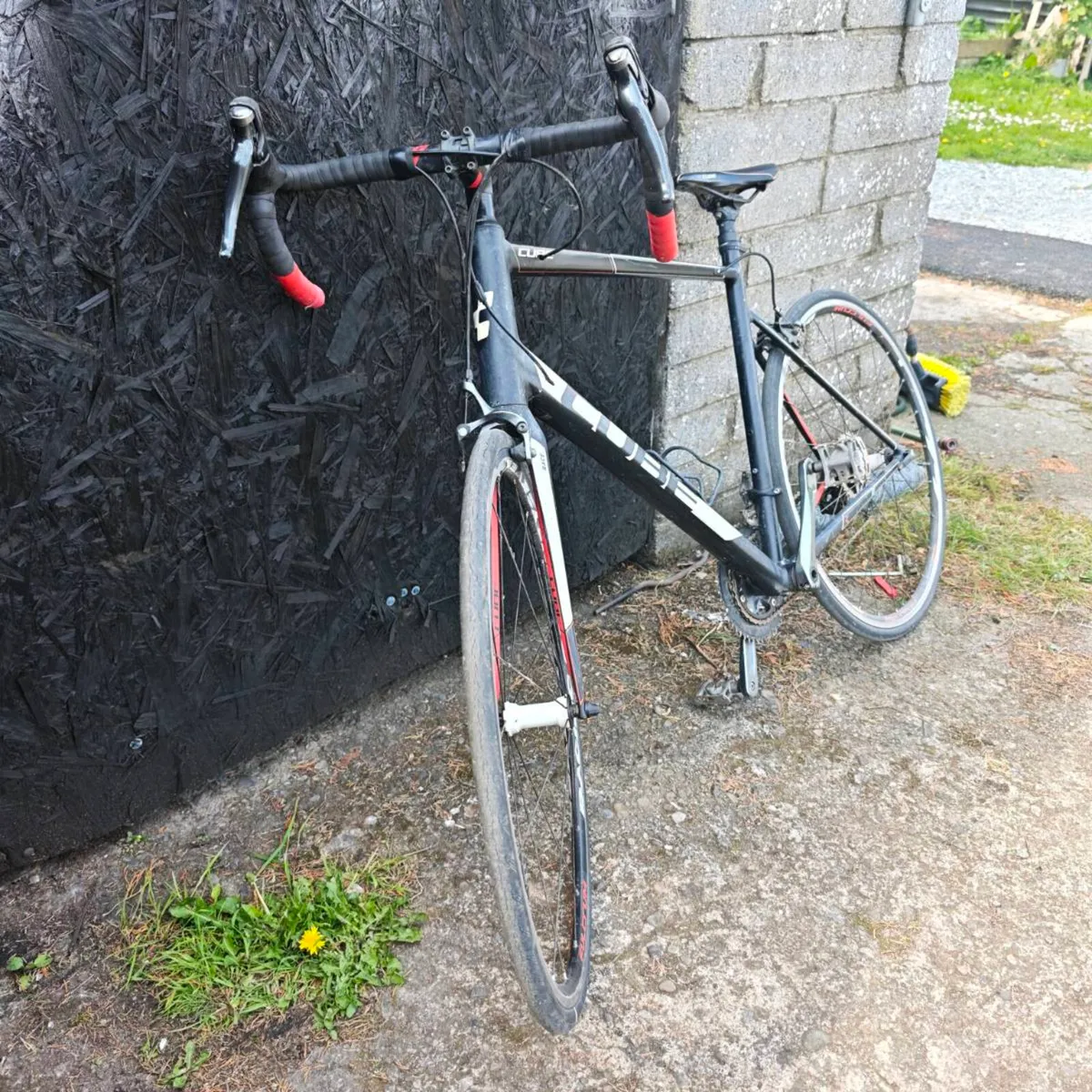 Bike - Image 3